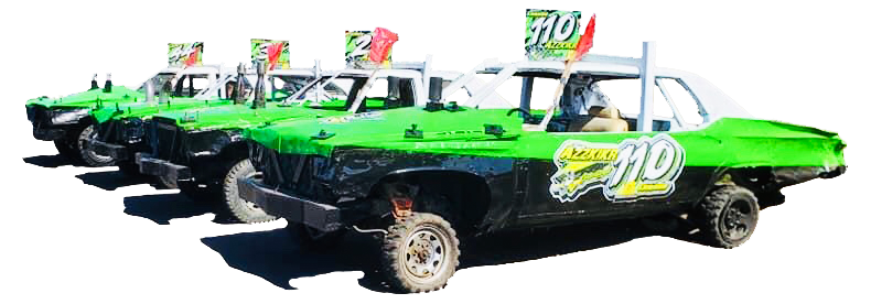 show custom team